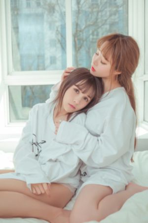 扫黑·决不放弃免费观看