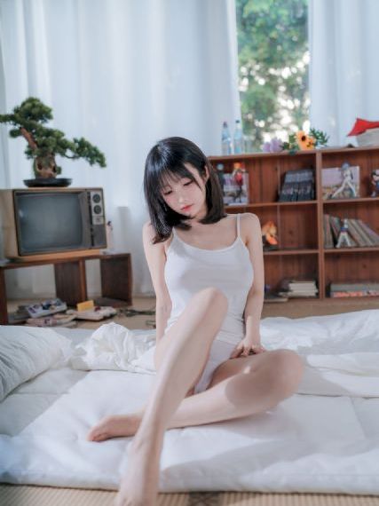 憧憬成为魔法少女全集